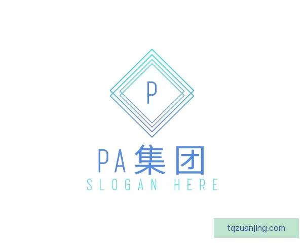 发现PA集团